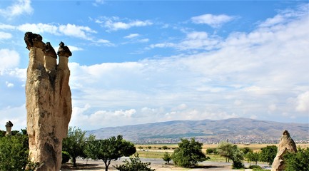 Mushroom Valley-turkey