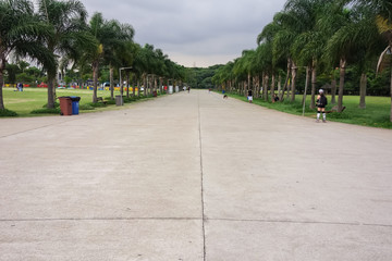 Sao Paulo, Brazil: Villa Lobos Park area