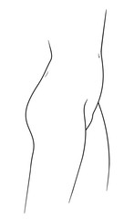 Lovely female body of the buttock and bosom side view. Linear illustration.