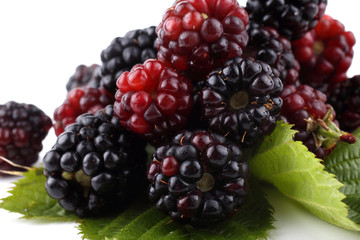 Blackberry background. Macro