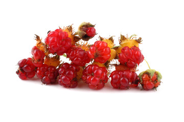Korean raspberry (Rubus crataegifolius)