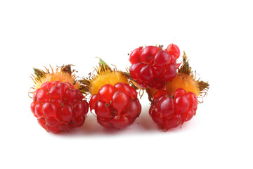 Korean raspberry (Rubus crataegifolius)