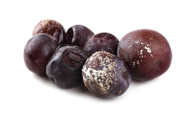 Rotten plums isolated on white