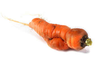 Funny ugly carrot