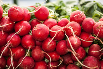 Colorful red radish in a bunch