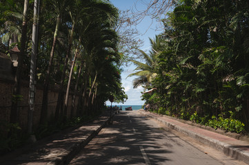 Tropical landscape with views of palm trees, ocean and blue sky.
