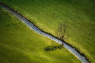 clean energy sustainable tree meadow river saubere energie nachhaltigkeit baum wasser wiese