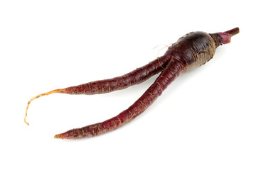 Funny ugly carrot