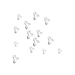 pigeon logo