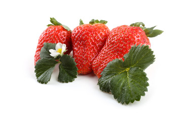 Strawberries and flowers isolated on white background