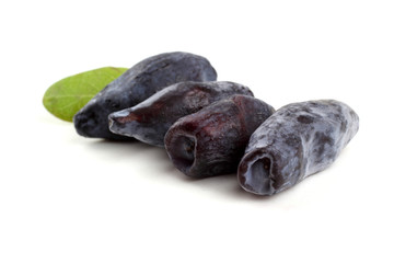 Honeysuckle berries