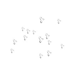pigeon logo
