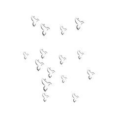 pigeon logo