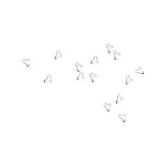 pigeon logo
