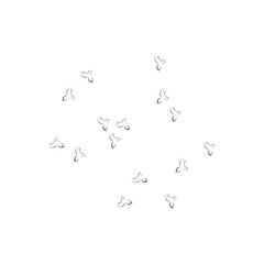 pigeon logo
