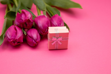 Bouquet of pink tulips on a pink paper background. Spring card mockup with place for text. Five flowers tulip close-up.  Tulip - a symbol of spring and Easter.
