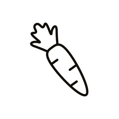 fresh carrot vegetable line style