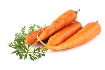 Carrots and leaves