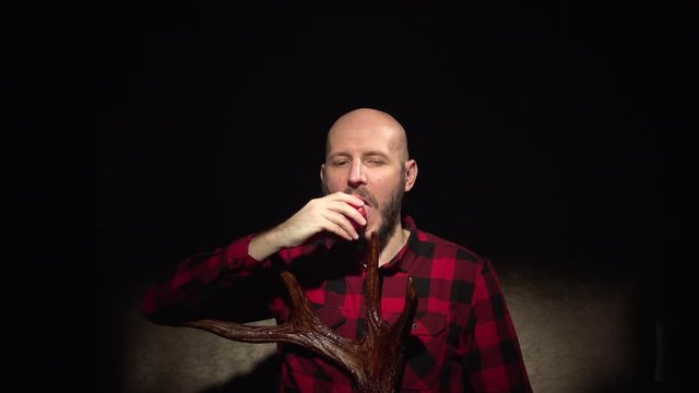 Man eat red apple from top of head bald caucasian white young hipster with beard in red plaid shirt with moose deer horns in hands