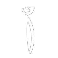 Flower drawing on white background vector illustration