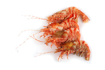 Shrimps isolated on white (northern Bering shrimp)