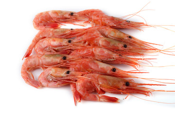 Shrimps isolated on white