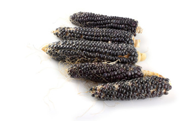Black corn isolated on white