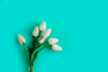 Side view of white tulips, isolated on green background