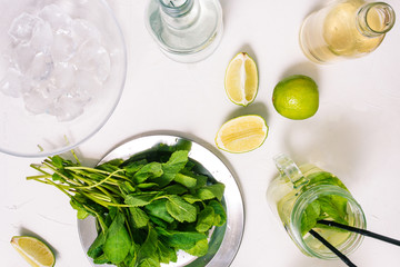 Cooking Mojito. Summer cocktail based on light rum and mint leaves.
