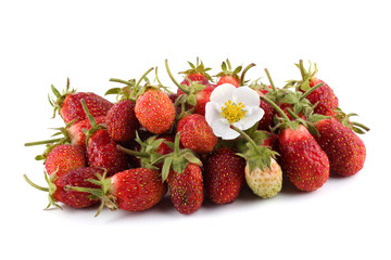 Strawberries and flower isolated on white