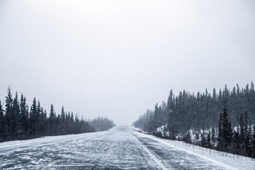 Fototapeta premium Whiteout Road