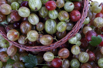 Gooseberry on wicker plate background