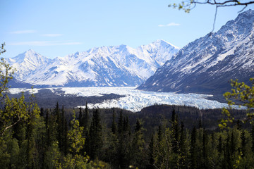 Fototapeta premium Snowy Mountains