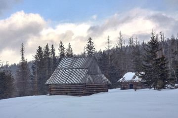 Traditional shepherds' wooden huts in Kopieniec Glade (Polana Kopieniec) in Tatra Mountains, Poland © PatPat