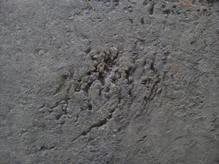 Top view of rough concrete floor textured background. Concrete texture. Dark concrete floor.