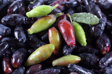 Honeyberries background. Far Eastern delicacy. Macro