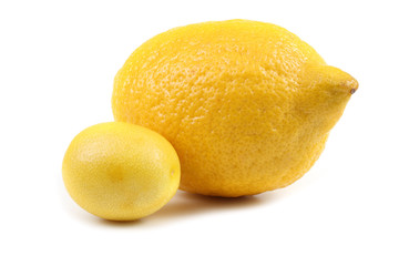 Lemon and limequat (Limonella)