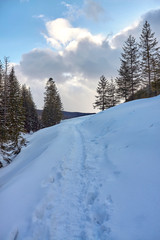 Mountain trail to Kopieniec Glade (Polana Kopieniec) in Tatra Mountains, Poland