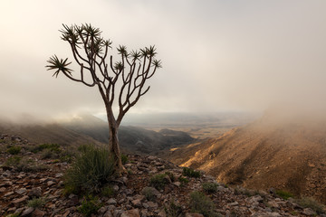 A moody, misty landscape taken on top of the arid and stark Fish River Canyon, Namibia, with an...
