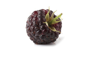 Black raspberry (Rubus idaeus) isolated on white