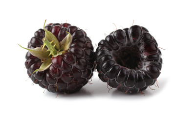 Two black raspberries (Rubus idaeus) isolated on white