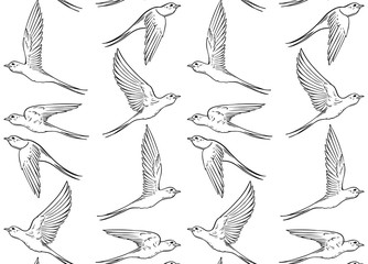Vector illustration of swallows pattern