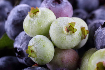 Blueberries background. Berries and leaves