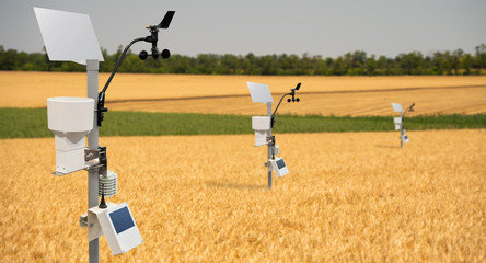 Weather station in a wheat field. Precision farming equipment