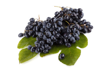 Black grape on  beautiful leaves