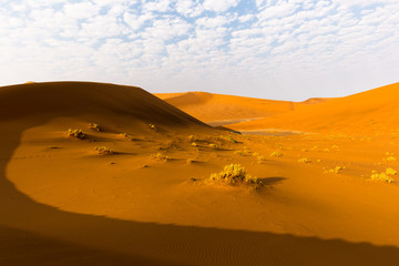 Fototapeta na wymiar Namib Desert Dunes,Deadvlei, Sossusvlei, Namibia