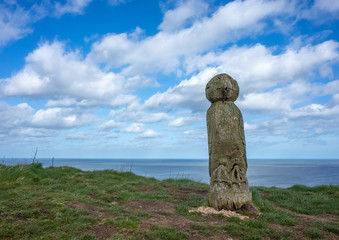 Fototapeta premium Puffin Sculpture