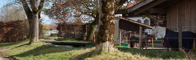 Dorfpanorama mit Reitstall