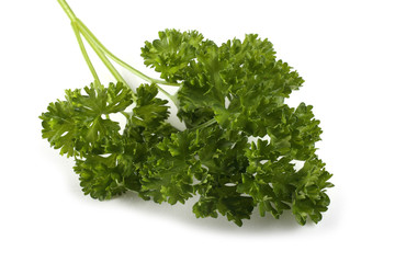 Parsley isolated on white