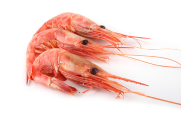 Shrimps isolated on white